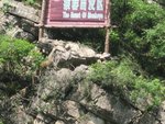 猿聲陣陣，野趣橫生