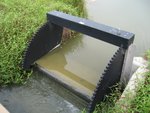 2006.05 濕地公園 001