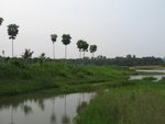 2006.05 濕地公園 004