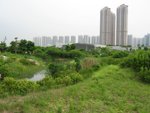 2006.05 濕地公園 006