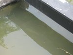 2006.05 濕地公園 009