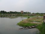 2006.05 濕地公園 019