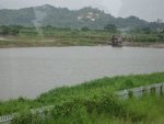 2006.05 濕地公園 036
