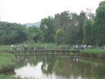 2006.05 濕地公園 042