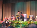 Picture 378