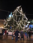 Picture 088