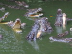 泰國鱷魚潭