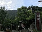 IMG_3770