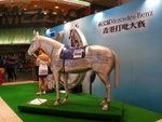 22mar09_horse1 (2)