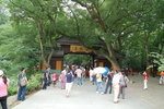 Picture 002 (182)