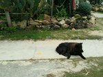 20170414_1350