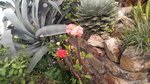 20170414_1452_1