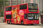 2010新巴虎年