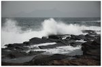 DSC_0969