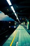 _DSC0003