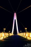 _DSC0017