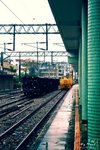 _DSC0032