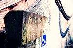 _DSC0054
