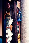 _DSC0065
