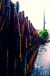 _DSC0073