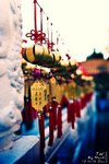 _DSC0218