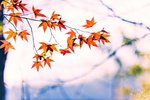 _DSC0391