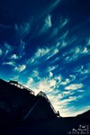 _DSC0432