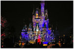 Disney (86)