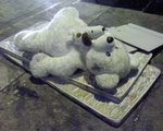 DSC00026