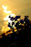 _MG_5254