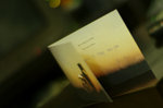 ap_20071219024329885