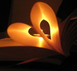 heartlight_book_by_Fyrefly86