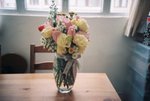 newflower_1