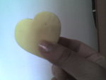 Picture0005