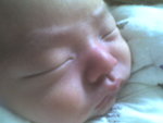 Picture0019