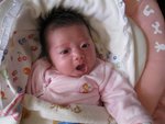 IMG_2635 (Small)