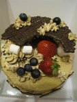 IMG_2646 (Small)