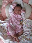 IMG_2726 (Small)