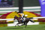 直趨終點。