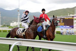 壓軸尾場勝出馬匹為「花月春風」。