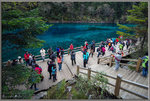「五彩池」，是九寨溝風景區的精華之一。