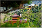 綠樹林蔭，相得益彰。