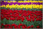 H56C7607-1