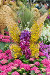 H56C5542-1