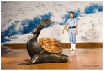 海獅表演 ...