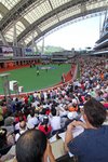 開跑前大批馬迷湧到馬匹亮相圈，人山人海，馬匹的臨場狀態乃勝負的關鍵。