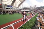 馬匹的實力、騎師的騎功和自信心亦是重要的考慮因素。