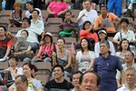 馬迷的眾生相。