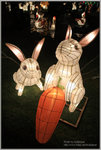 兔仔綵燈造型可愛。