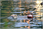 IMG_7979-1